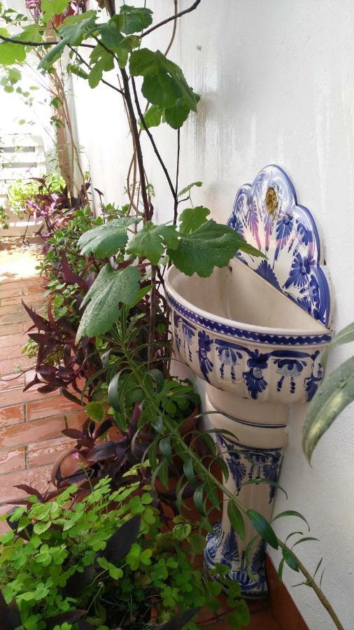Patios con encanto Córdoba Exterior foto